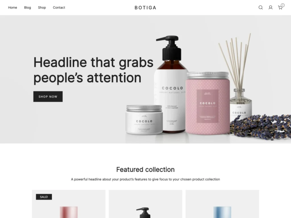 Botiga free eCommerce WordPress theme