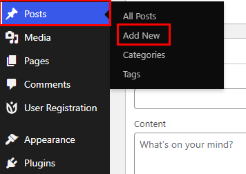 Create a New Post or Page
