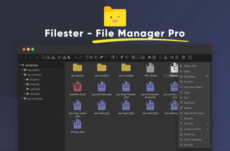 Filester WordPress File Manager Plugin