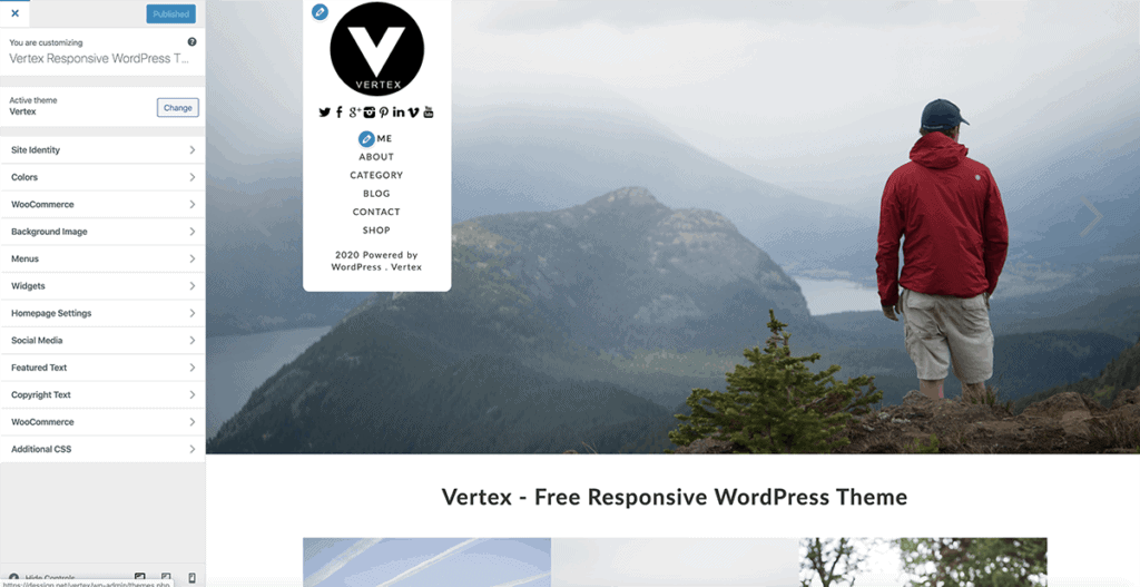 WordPress Customize Website Theme 
