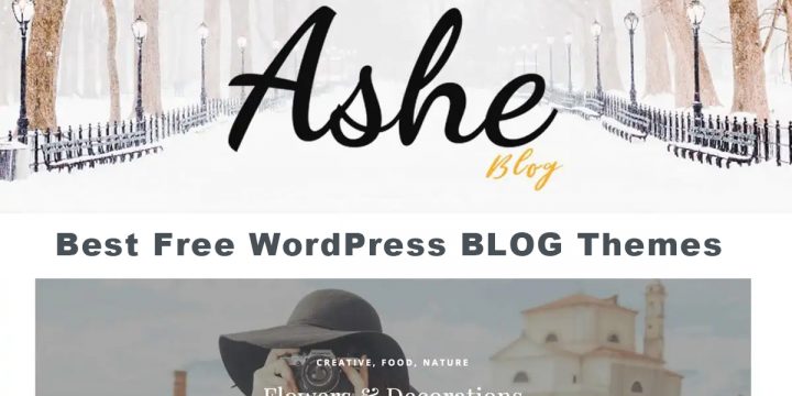 40+ Best Free WordPress Blog Themes (Most Popular 2023) – Dessign