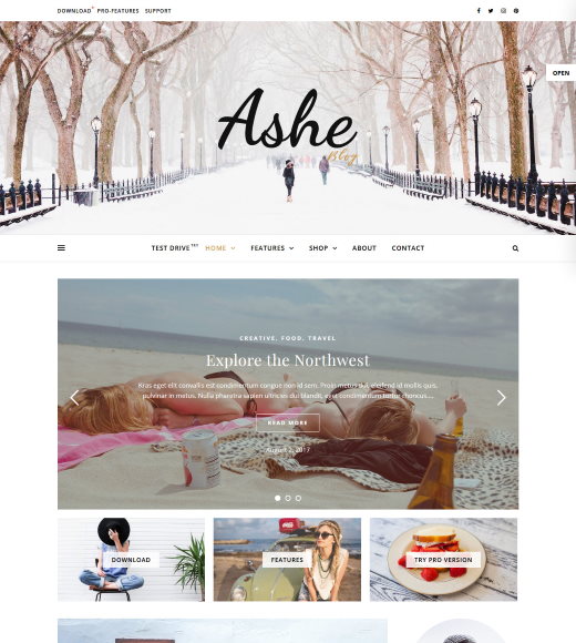 Ashe Most Popular Free WordPress Theme
