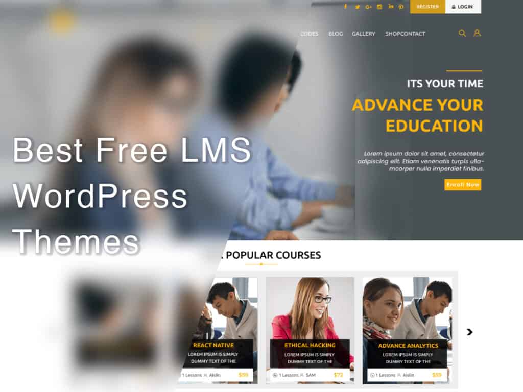 best free LMS WordPress themes