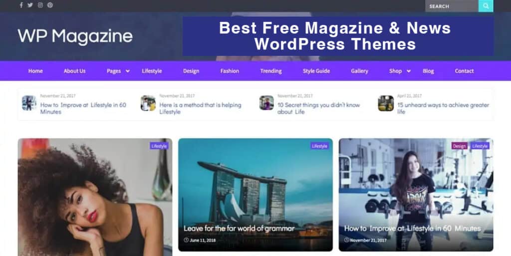 Free Magazine WordPress Themes 