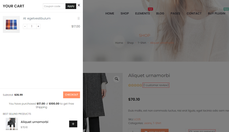 cart all in one for woocommerce plugin