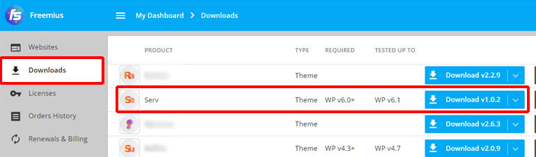 Download Serv WordPress Theme