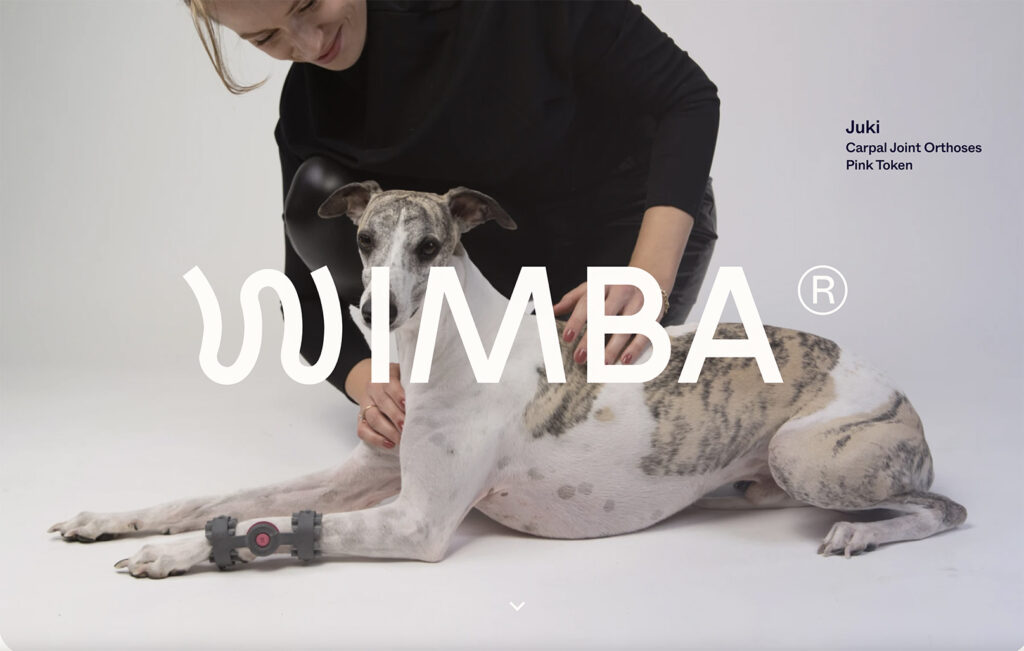 Wimba one page veterinary website example
