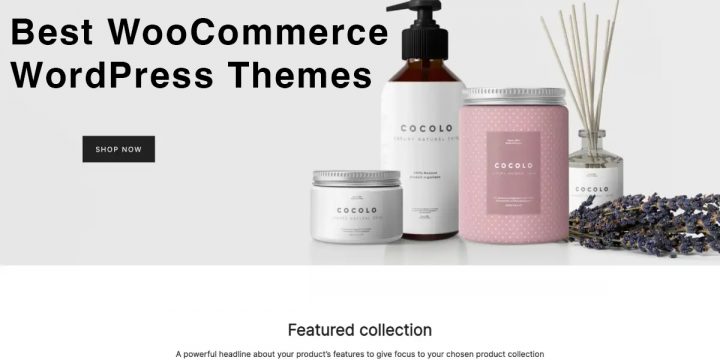 woocommerce themes – Dessign – Best WordPress & WooCommerce Themes