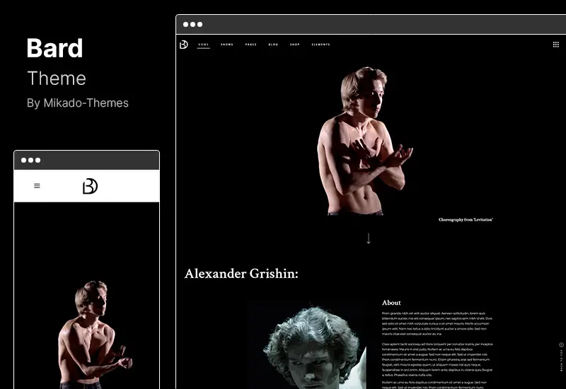 Bard Theme - A Theatre and Performing Arts WordPress Theme