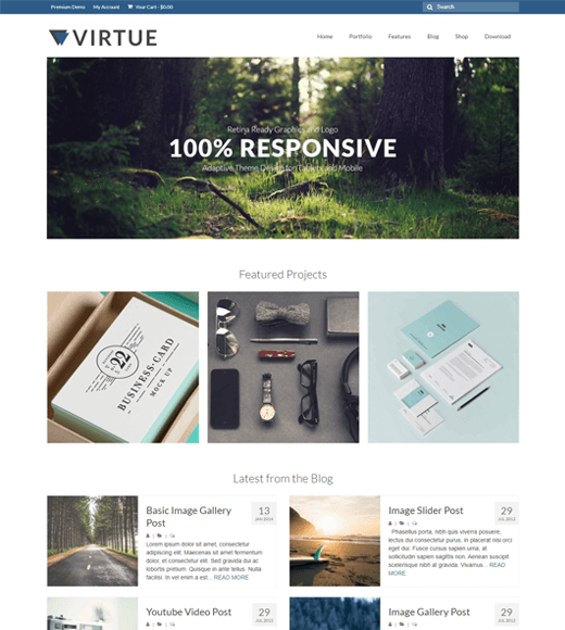 Virtue WordPress Theme