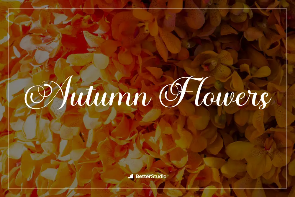 Autumn Flowers - 