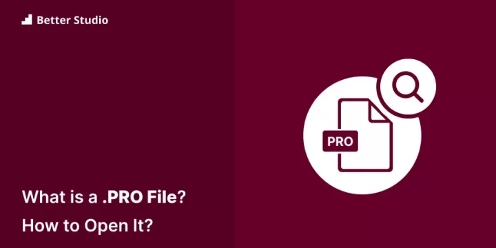 .Professional File Extension – What is .Professional File and How to Open It?