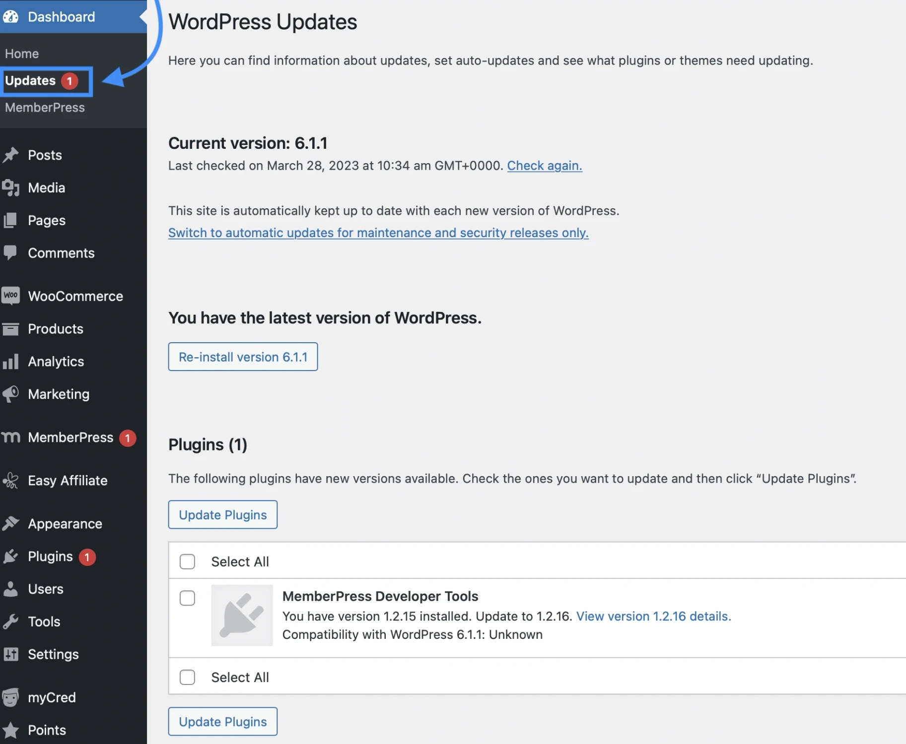 Use the admin dashboard to check for WordPress plugin updates
