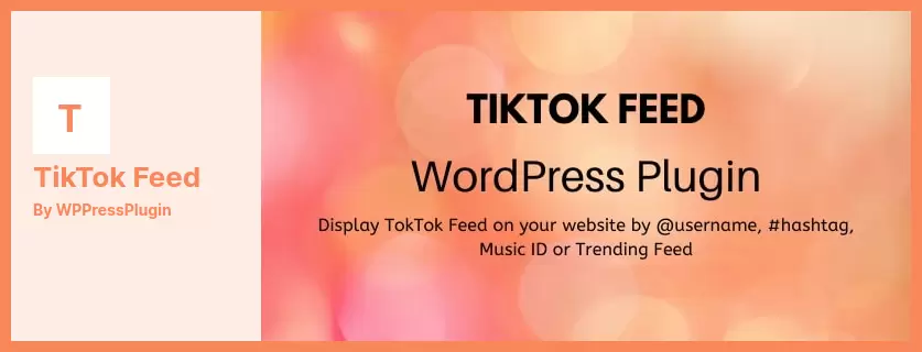 TikTok Feed Plugin - TikTok Feed Widget for WordPress