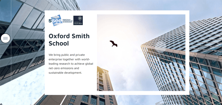Oxford Smith School - Types of Websites