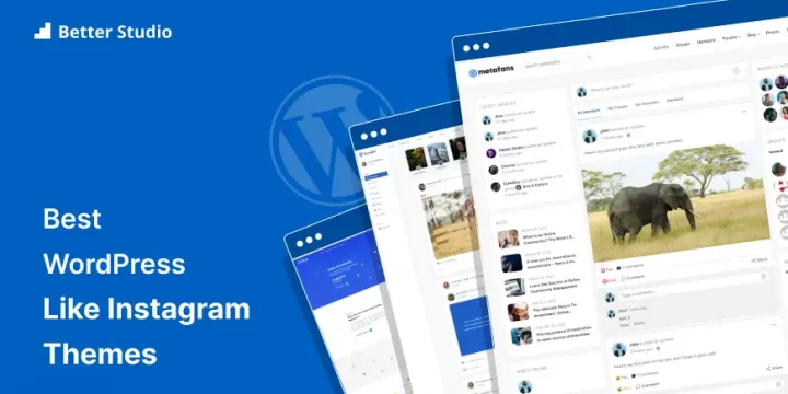 7 Best WordPress Themes Like Instagram 🥇 Find Your Dream House Today!