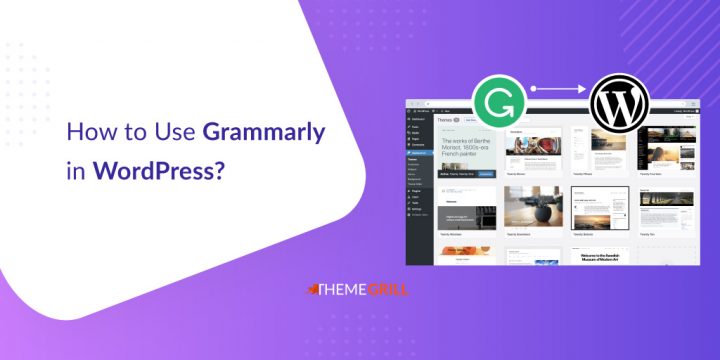 How to Use Grammarly in WordPress? (Ultimate Guide)