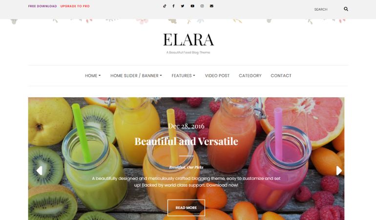 Elara Best Free WordPress Theme for Food Blog