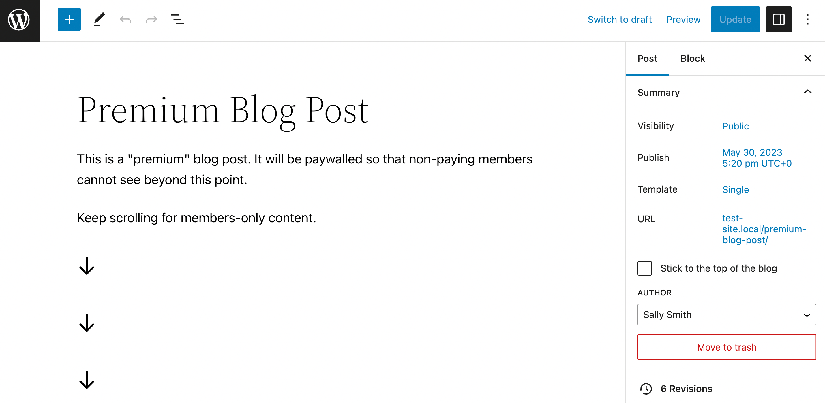 A premium blog post example.
