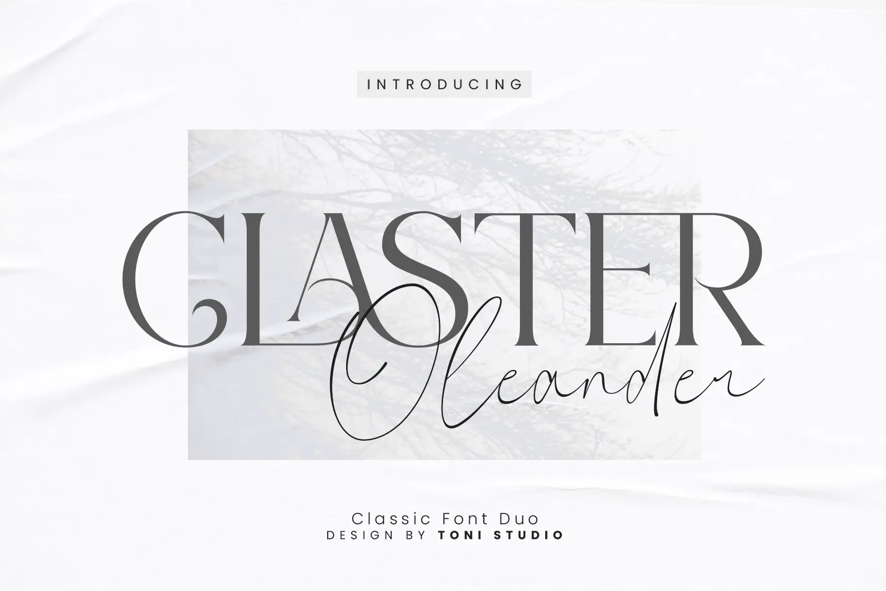 Claster Oleander - 