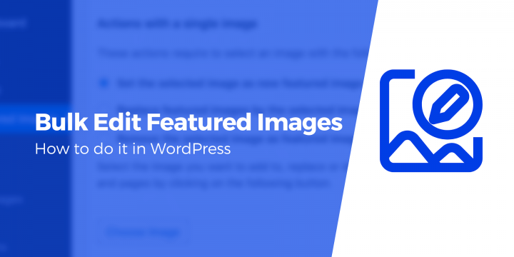 How to Bulk Edit Highlighted Photos in WordPress