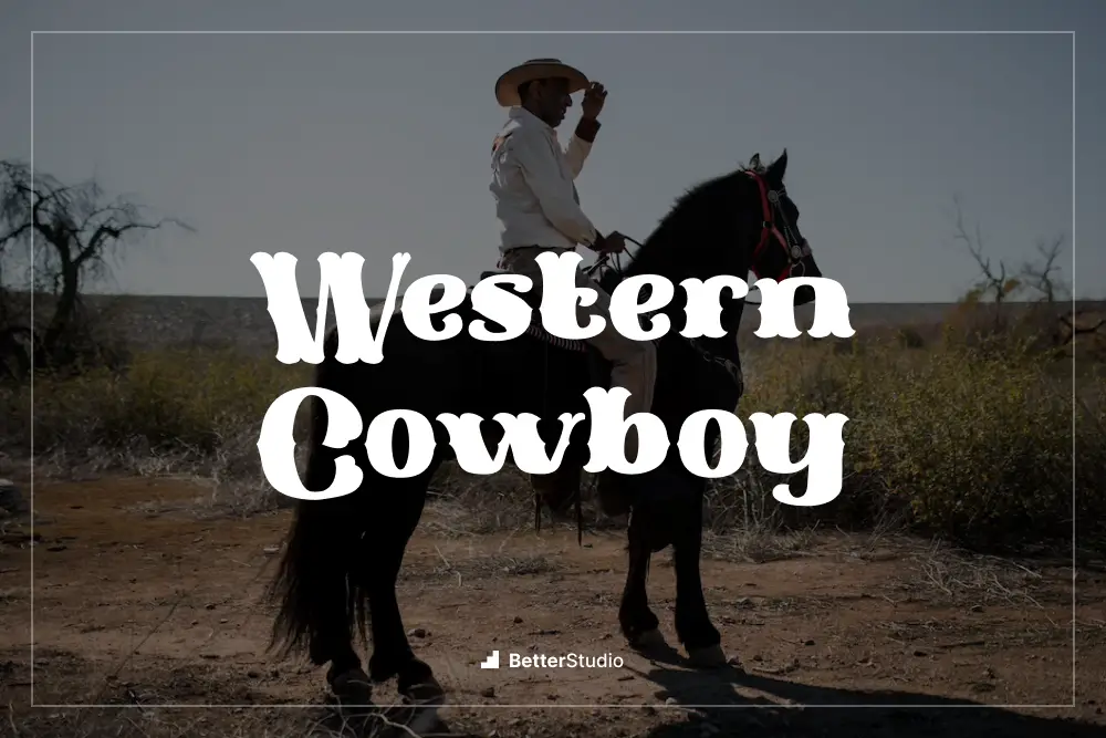 Western Cowboy - 