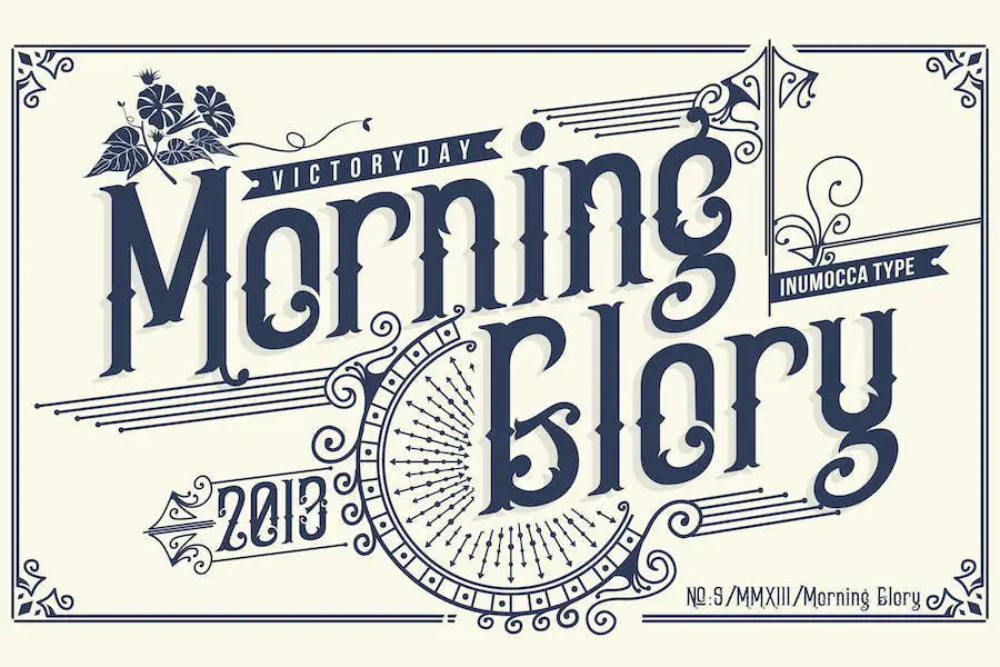 Morning Glory - 