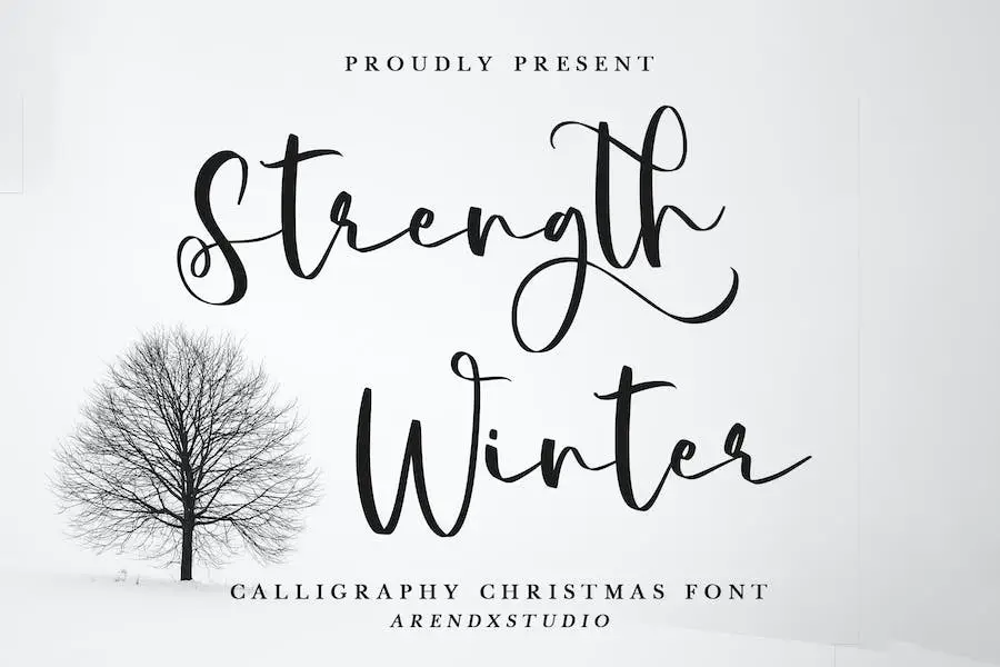 Strength Winter - 