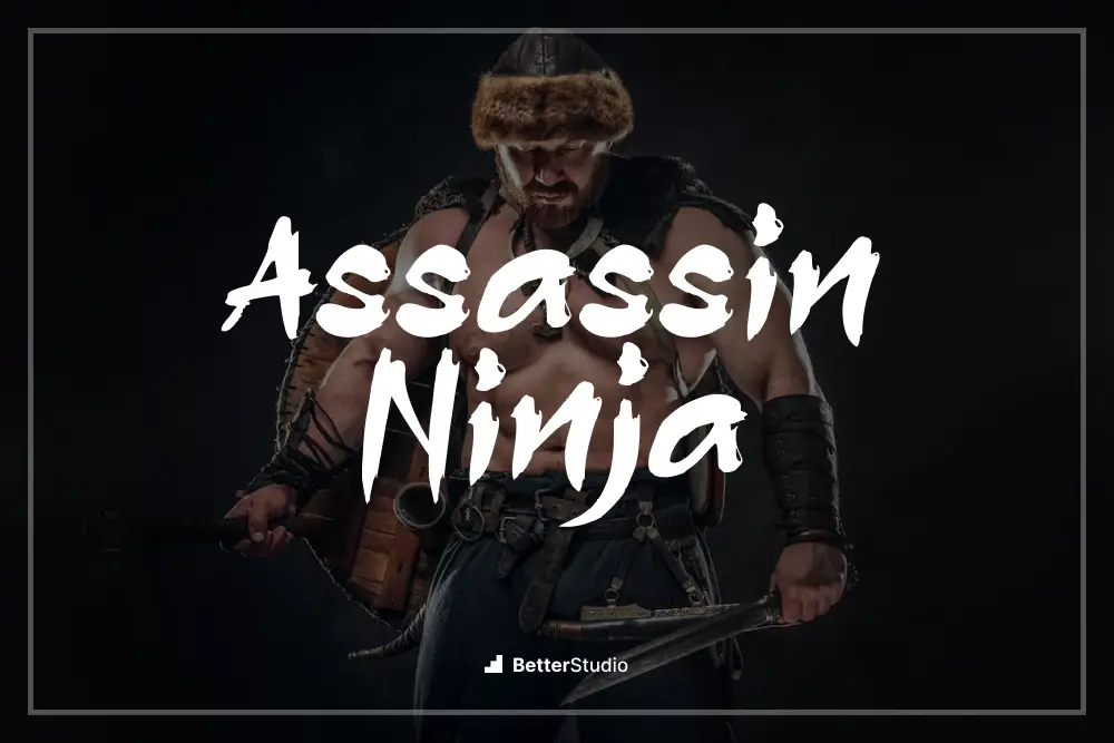 Assassin Ninja - 