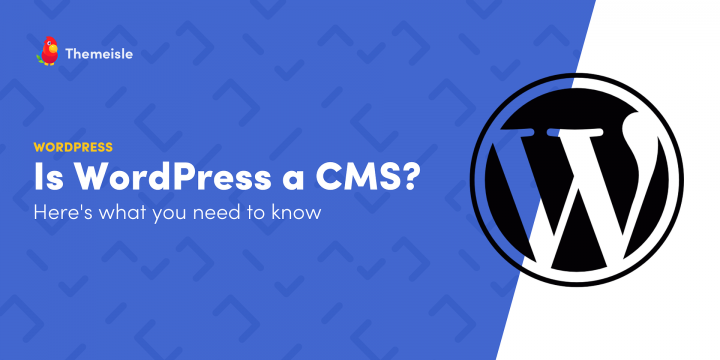 Is WordPress a CMS? This is What You Will need to Know