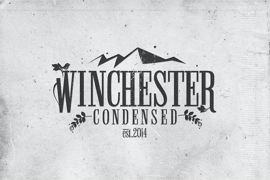 Winchester - 