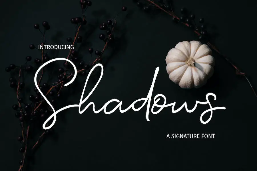 Shadows - 