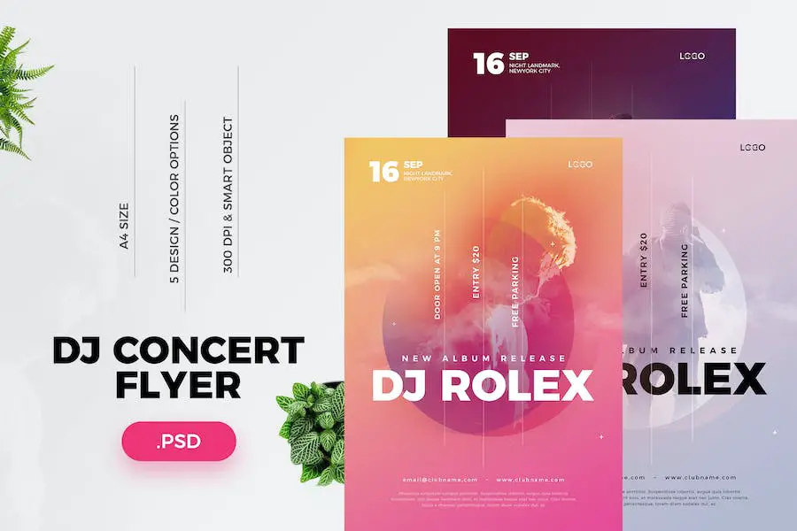 DJ Concert Flyer - 