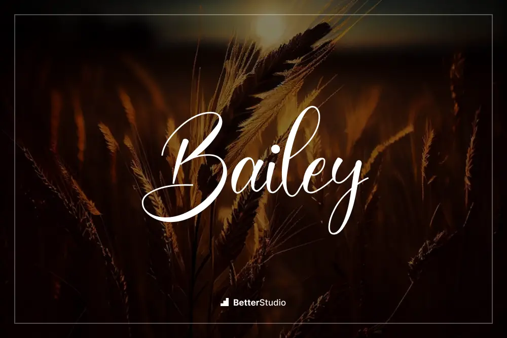 Bailey - 