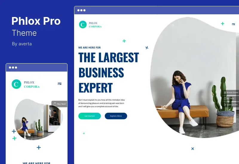 Phlox Pro Theme - Elementor Multipurpose WordPress Theme