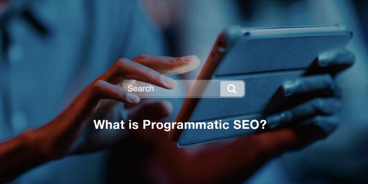 What is Programmatic SEO? A Precise Guide for Marketers (2023)