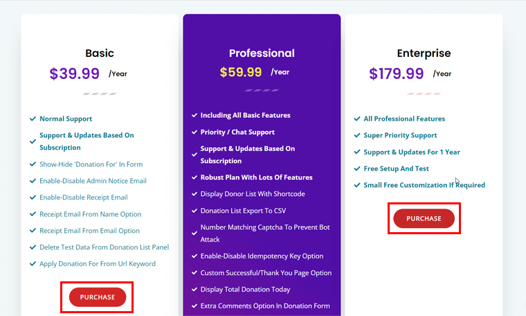 Click the Purchase Button of Your Chosen Pricing Options - Accept Donations on WordPress Site