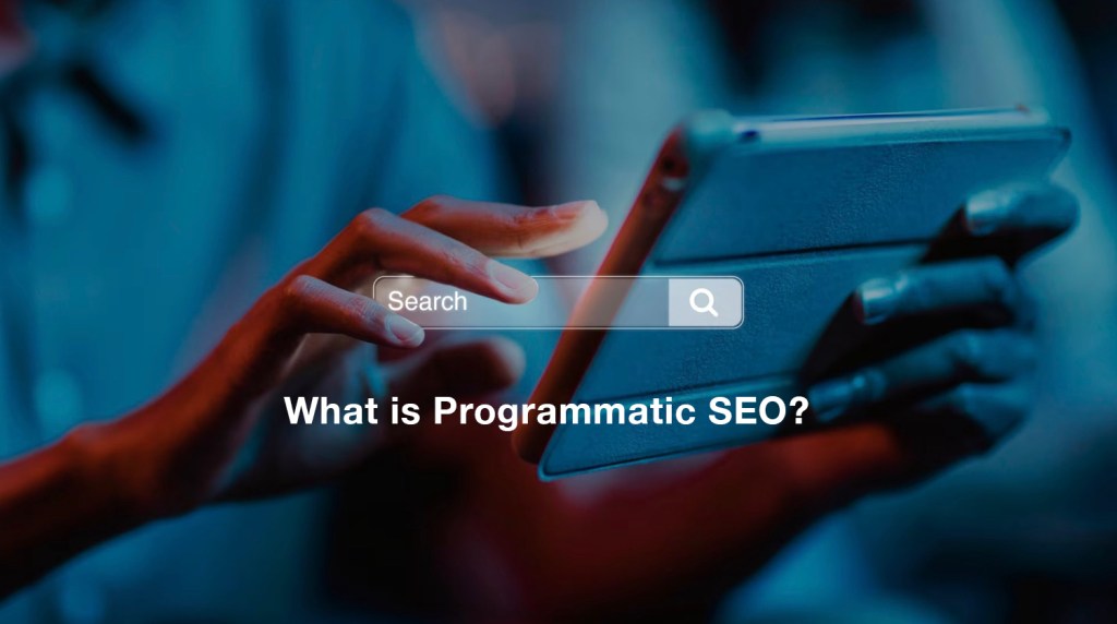 What is Programmatic SEO? A Precise Guide for Marketers