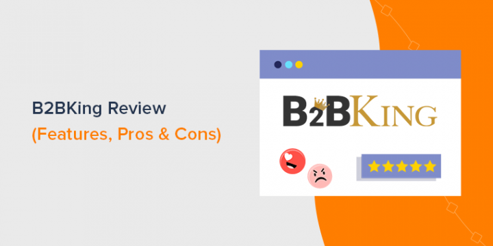 B2BKing Review – Is it the Best WooCommerce B2B Plugin?