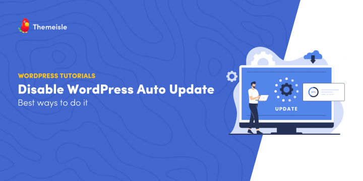 How to Disable WordPress Auto Update (Plugins, Themes, Core)
