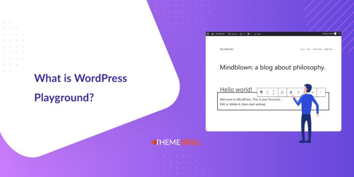 What is WordPress Playground and How to Use It?