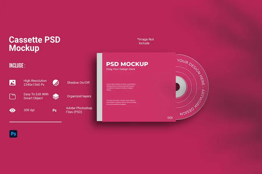 CD DVD With And Mockup - 