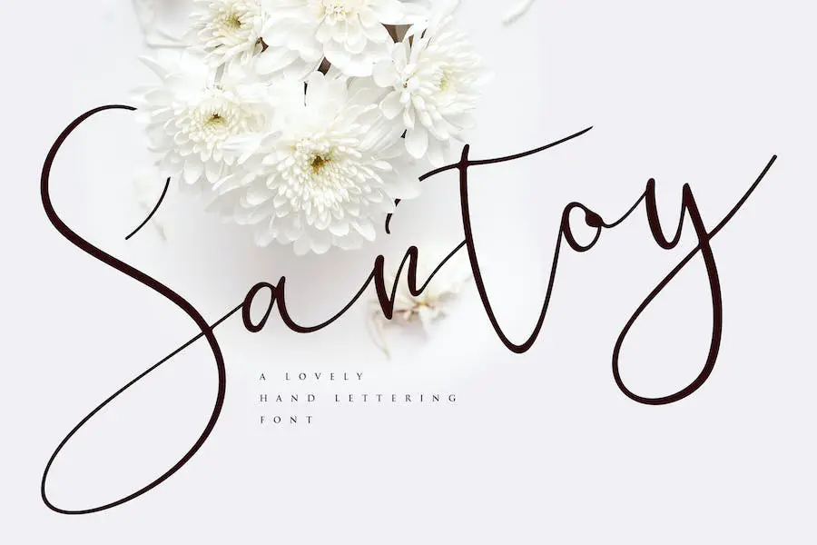 Santoy - 