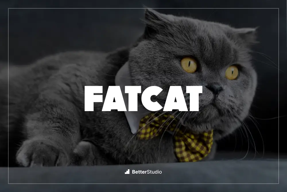 FatCat - 