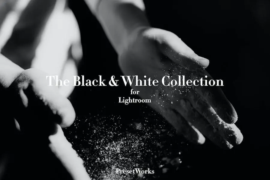 Black & White Lightroom Presets - 