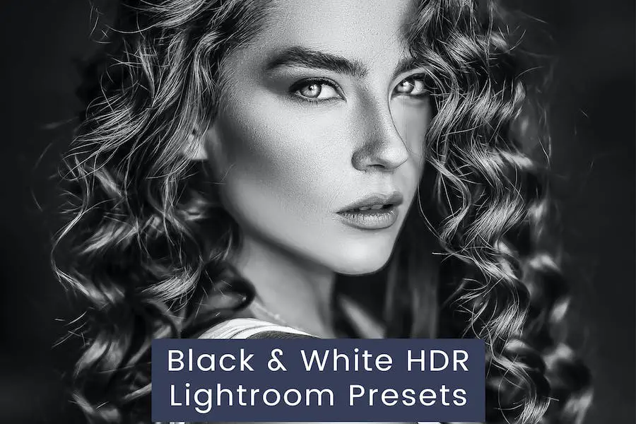 30 Black & White HDR Lightroom Presets - 