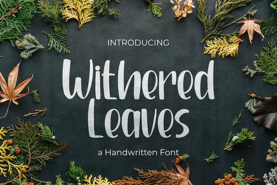 Withered leaves - 