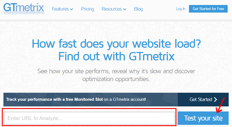 Enter URL And Click Test Your Site