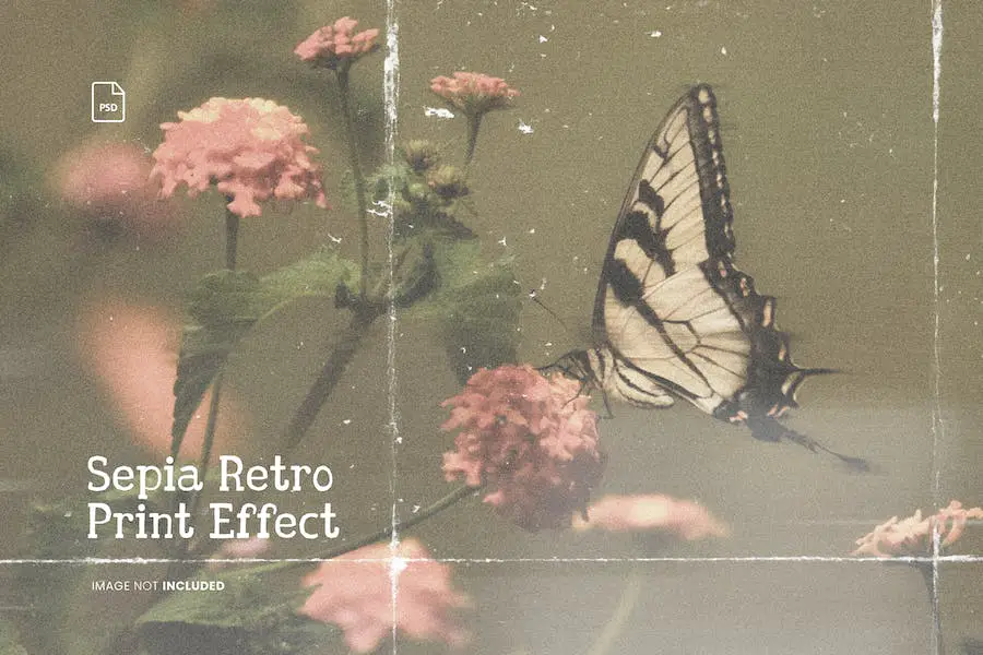 Sepia Retro Photo Effect - 