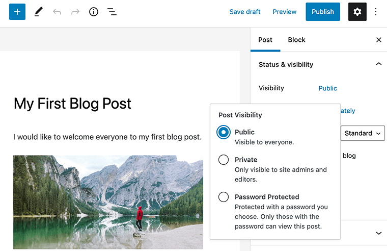 WordPress Post Visibility Option